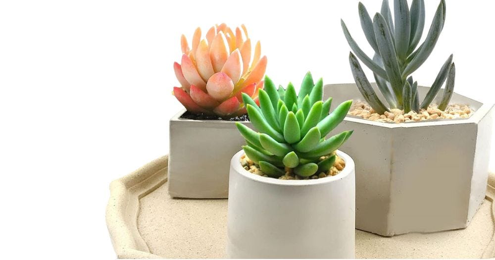 Top 3 DIY Concrete Planters Projects