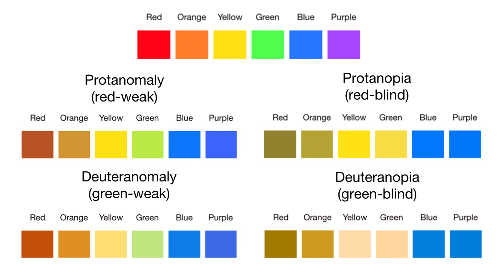 Red-green color blindness is simulated on the colors red, orange, yellow, green, blue, and purple: red and orange look like brownish-yellows, yellow and green look yellow, and blue and purple look blue.