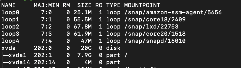 lsblk command output on EC2 Instance showing increase EBS volume