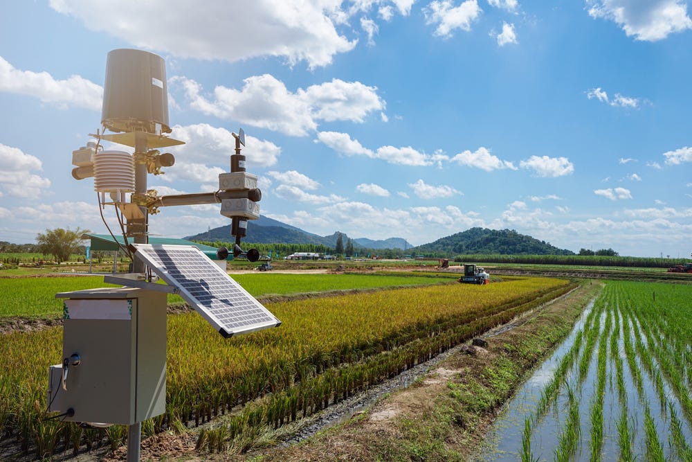 Crop protection by monitoring weather conditions