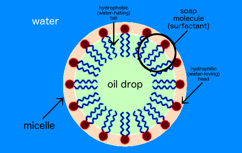 assume oil droplet as virus
