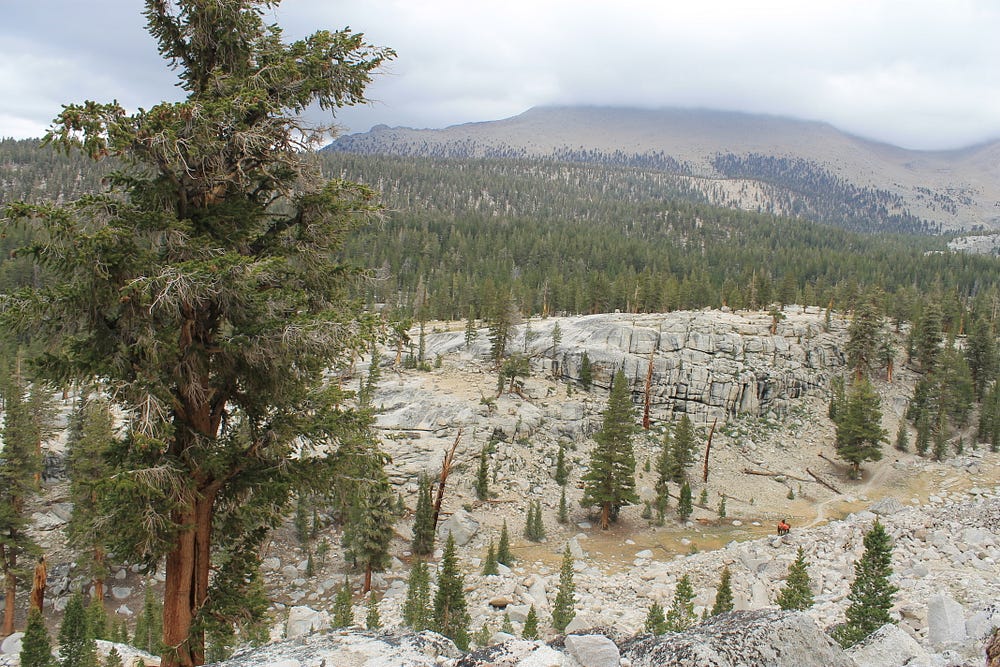 Hiking Mt Whitney via Cottonwood Pass* – Xi-Er D – Medium