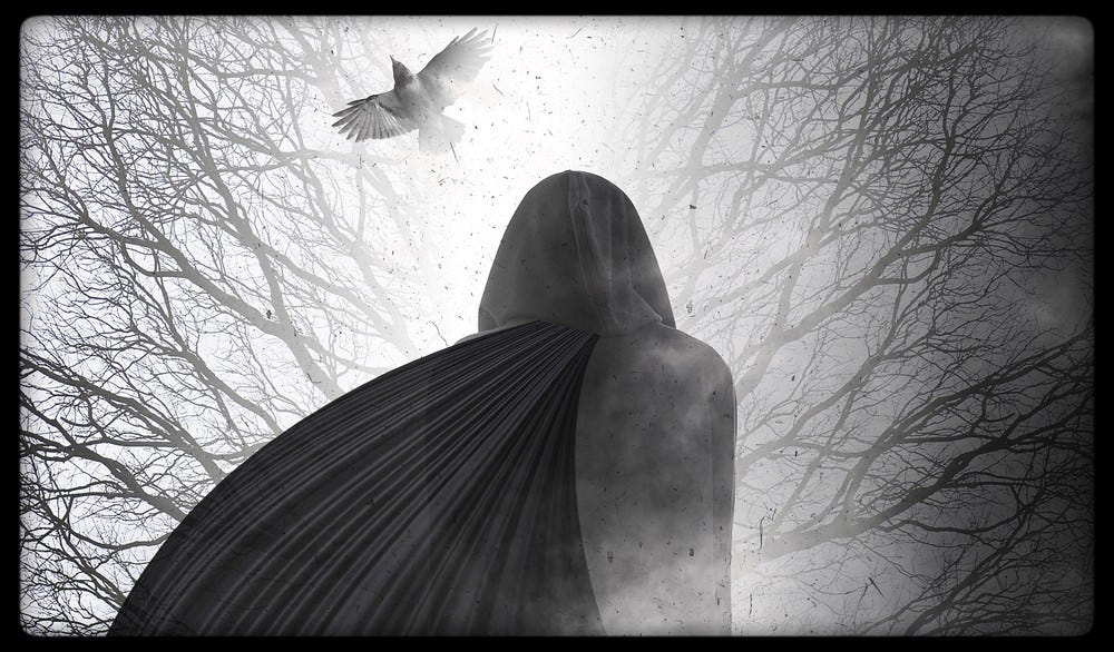 grayscale: hooded figure viewed from below & behind; crow flying past empty branches.