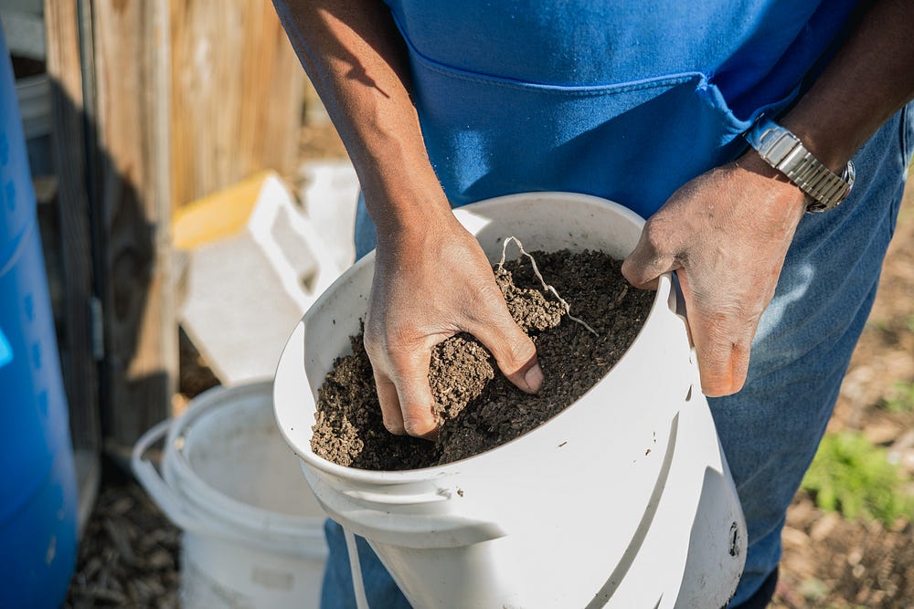 Meet the Godfather of Urban Farming, Who’s Breeding the Next Generation ...