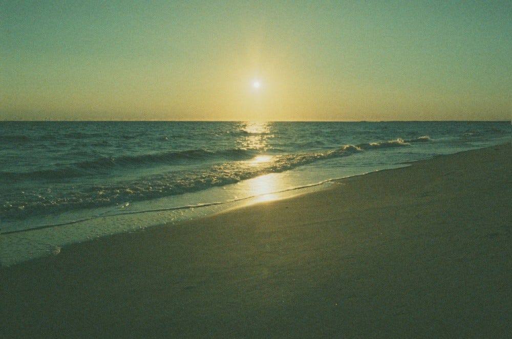 Delaware Shore, Retrochrome 400, Image by the Author