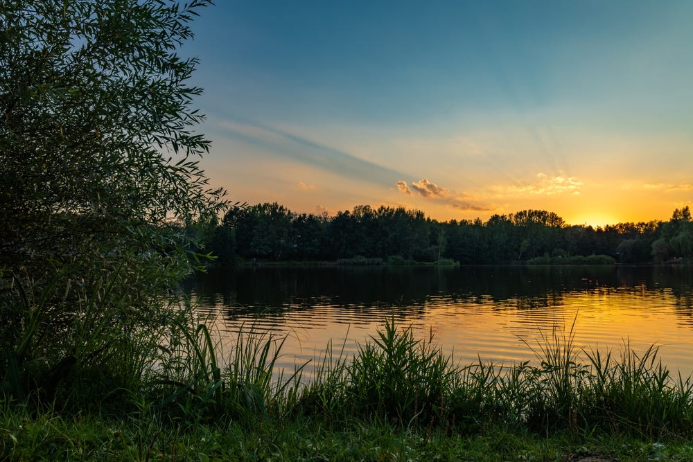 A Pond, Not A River: AI, Navel Gazing and the Stagnation of Thought