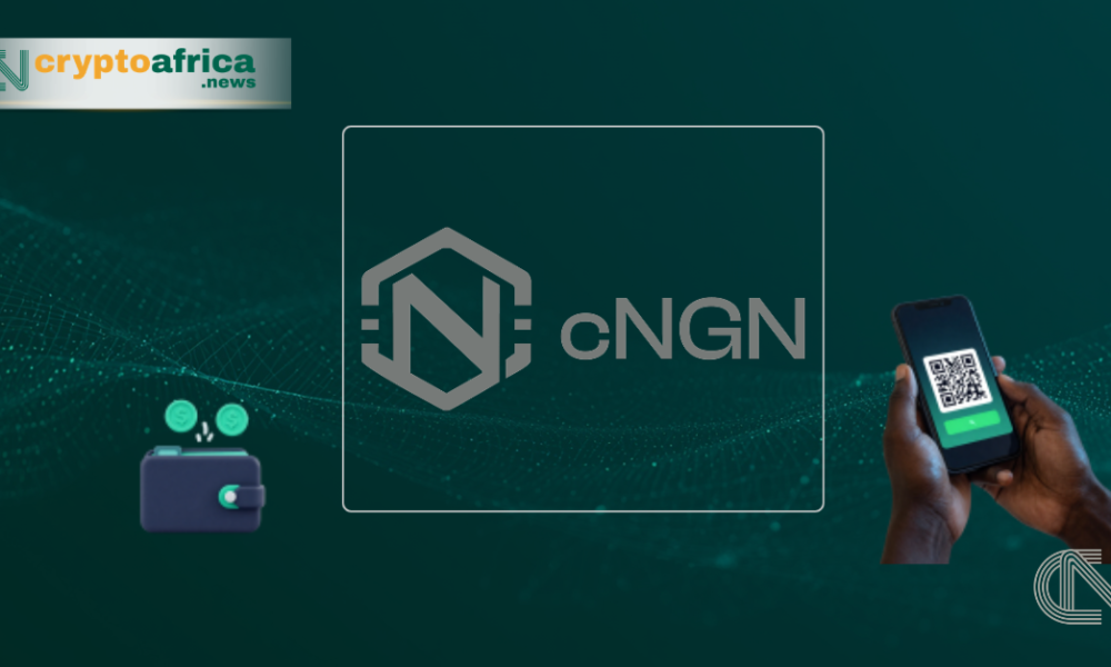 Why Nigerian Fintechs Are Still Hesitant to Integrate cNGN Stablecoin