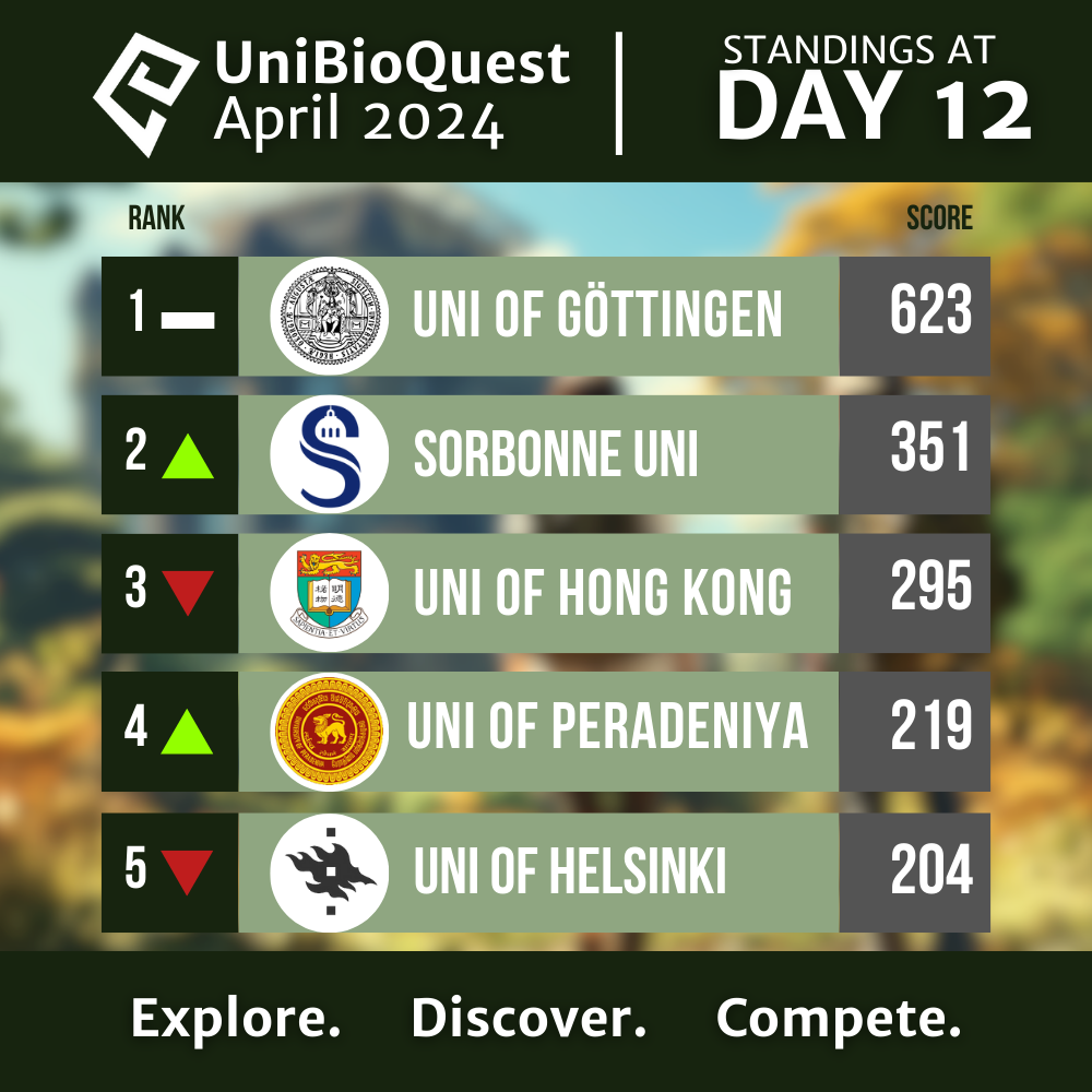 Leaderboard at Day 12