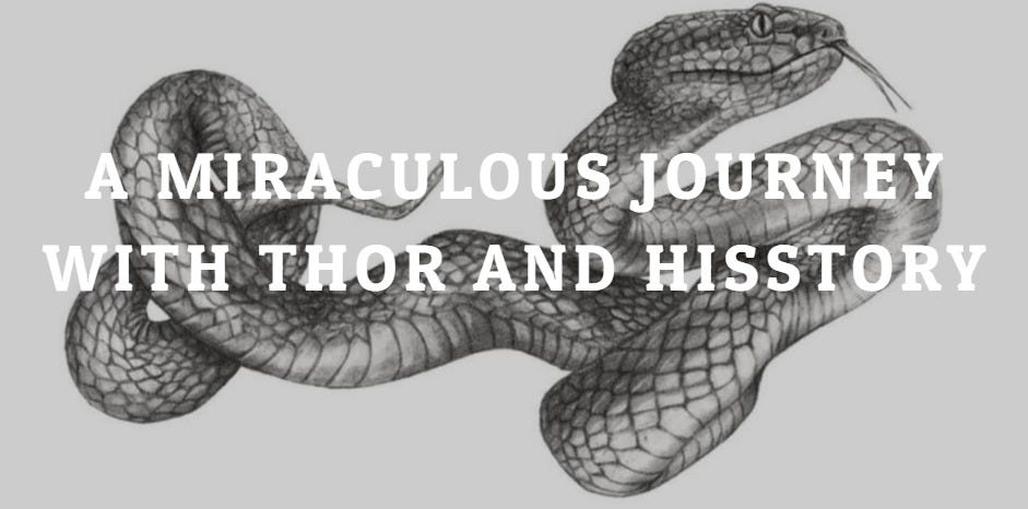 Black and white illustration of serpent or snake with lettering A Miraculous Journey With Thor And Hisstory