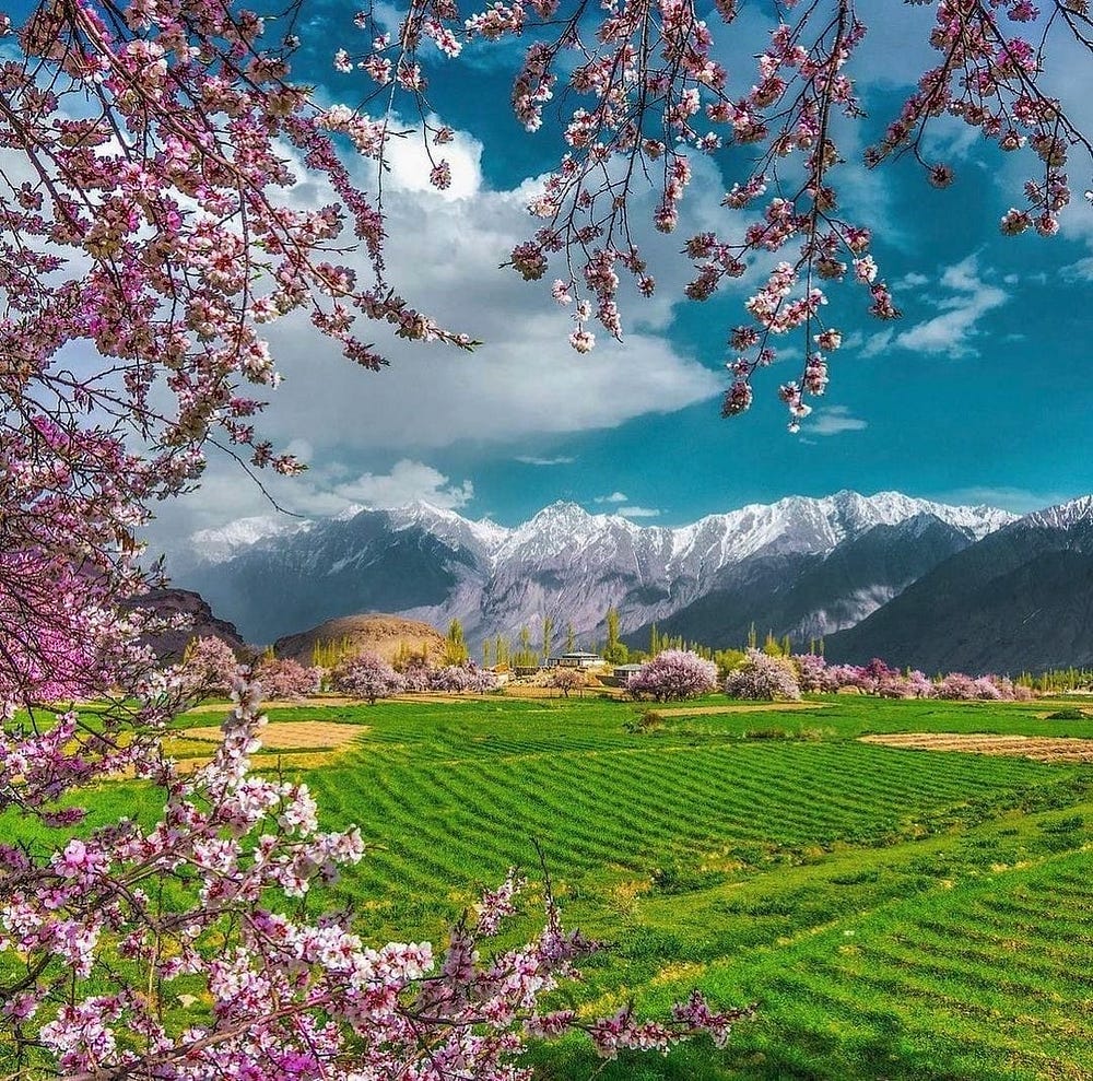 Gilgit-Baltistan Blossom Tour-http://www.hunzaadventuretours.com.pk/blossom_tour_to_hunza_valley.html