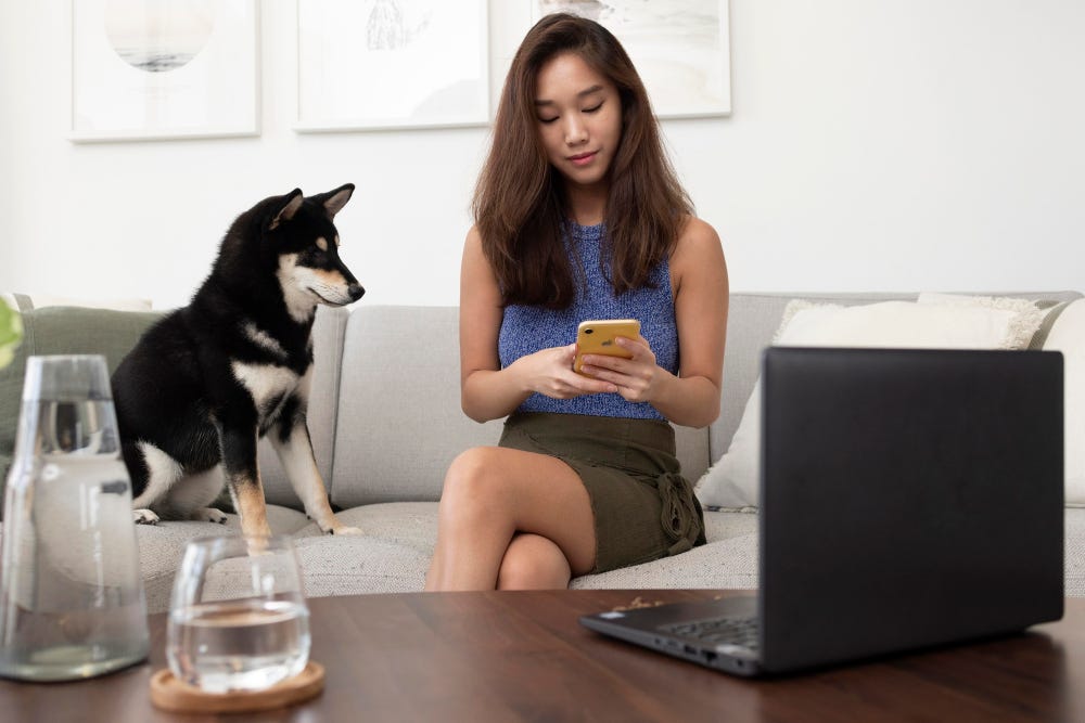 How Much Does Delta Charge for Pet Travel in 2026-
