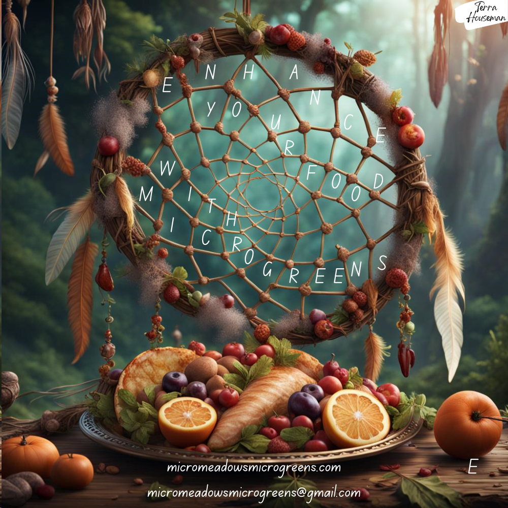 Enhance your food with microgreens dream catcher!