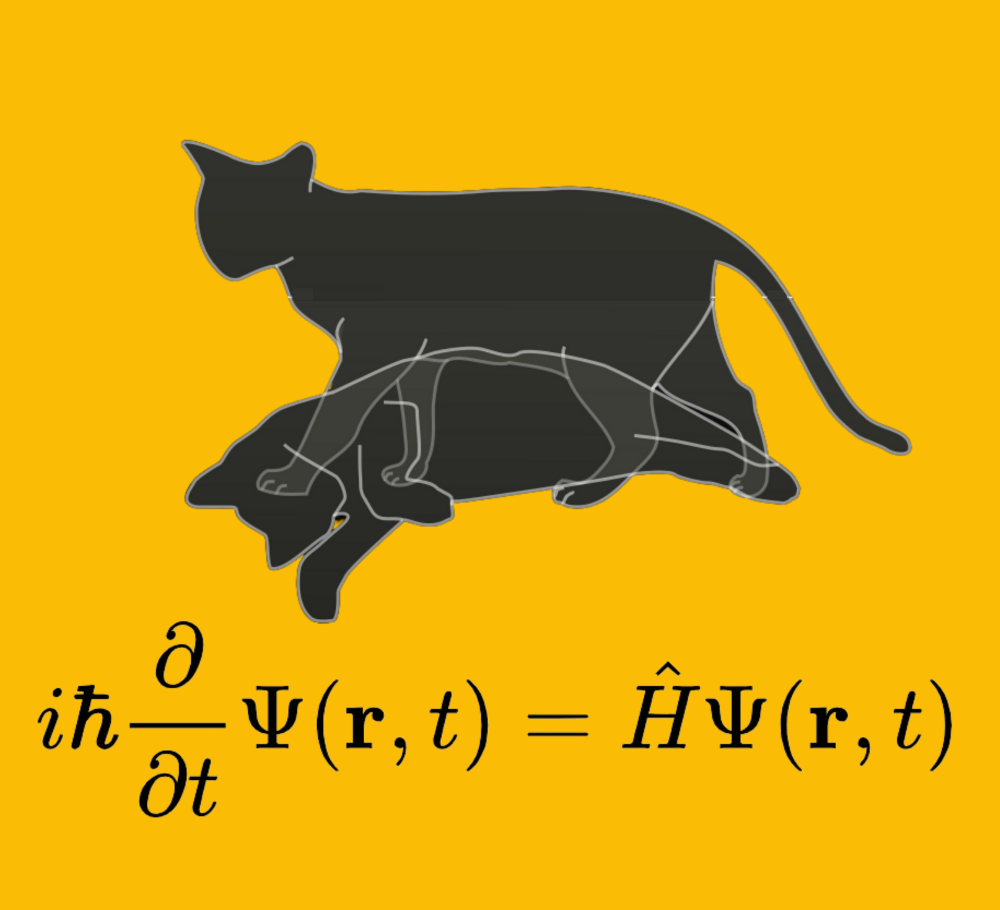 Schrödinger’s Cat, the Most Bizarre Thought Experiment in Physics