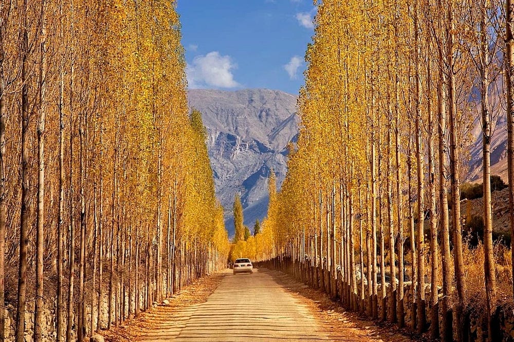 Skardu Autumn Tour-https://hunzaadventuretours.com/tour/skardu-baltistan-and-hunza-valley-autumn-tour/