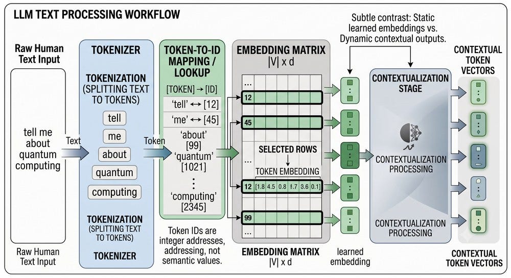 Tokens and Embeddings