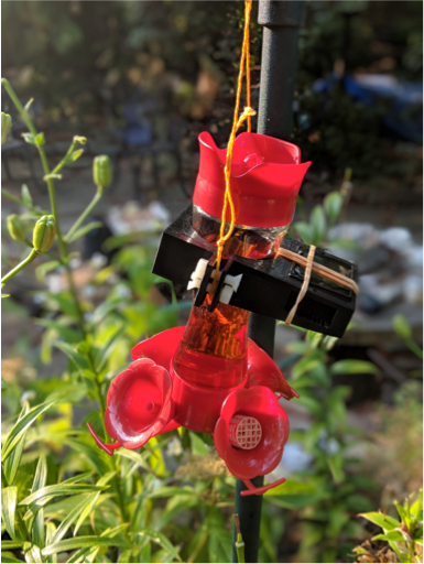 What Do You Get When You Mix Sugar Water 3d Printing And Deep