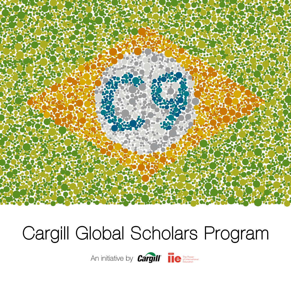 Uma bandeira estilizada do Brasil, com C9 escrito em seu centro, e abaixo dela escrito “Cargill Global Scholars, an initiative by Cargill and IIE”