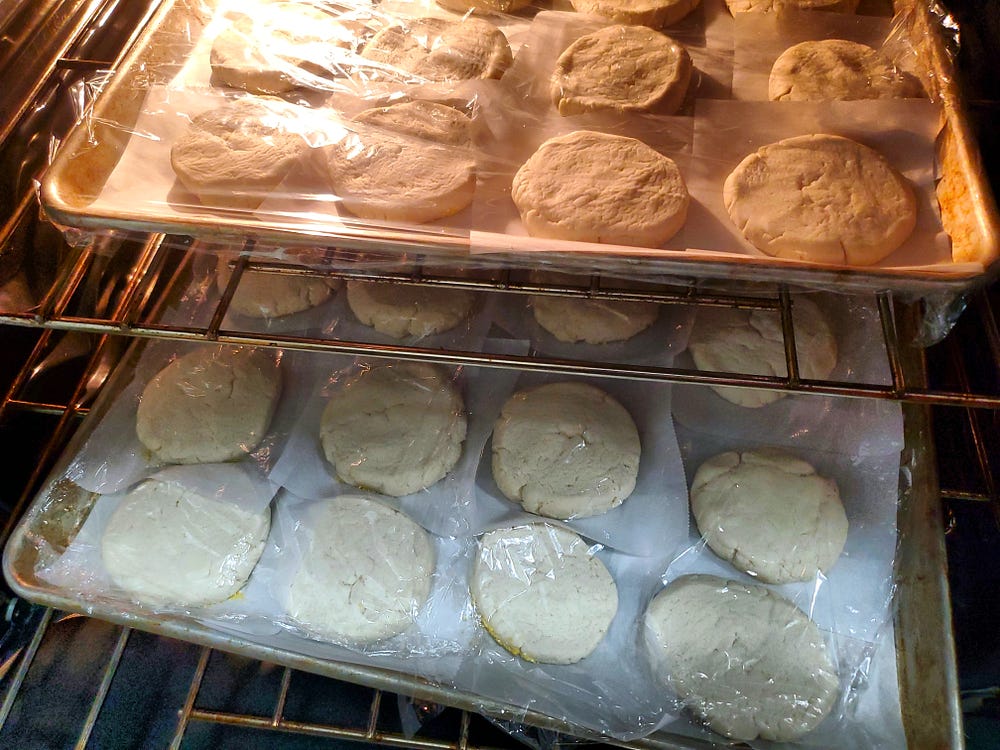 Two rimmed cookie sheets with flattened muffins with plastic wrap over the top occupy two oven racks.