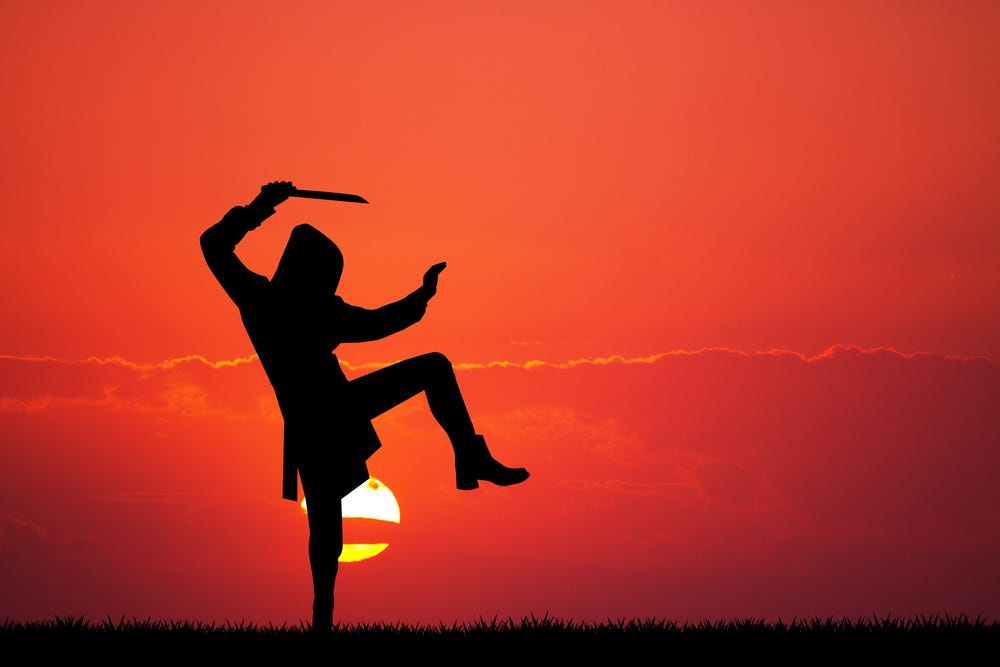Ninja at sunset