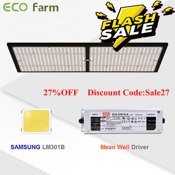  AC Infinity IONBOARD S33, LED Grow Light Board with Samsung  LM301B Diodes, Deeper Penetration and Dimmable Full Spectrum Lighting, for  Veg Bloom Indoor Plants in Grow Tents Greenhouses (3x3) : Patio