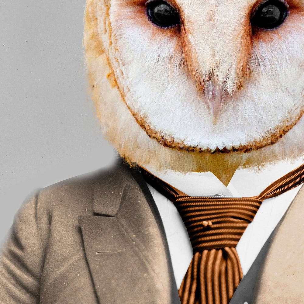 This image of a personified barn owl wearing a suit coat, high-collared shirt, and tie is the property of Ani Eldritch.