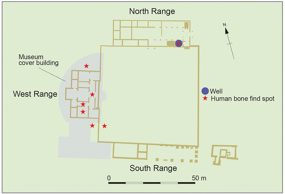Distribution of human remains at Brading Roman Villa. Credit: image is adapted from Cunliffe 2013, fig. 10.16, in Fulford and Hamilton 2026