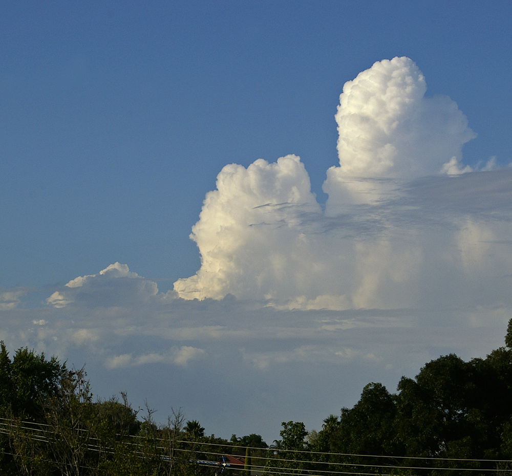 An example of a Towering Cumulus (TCU) cloud.