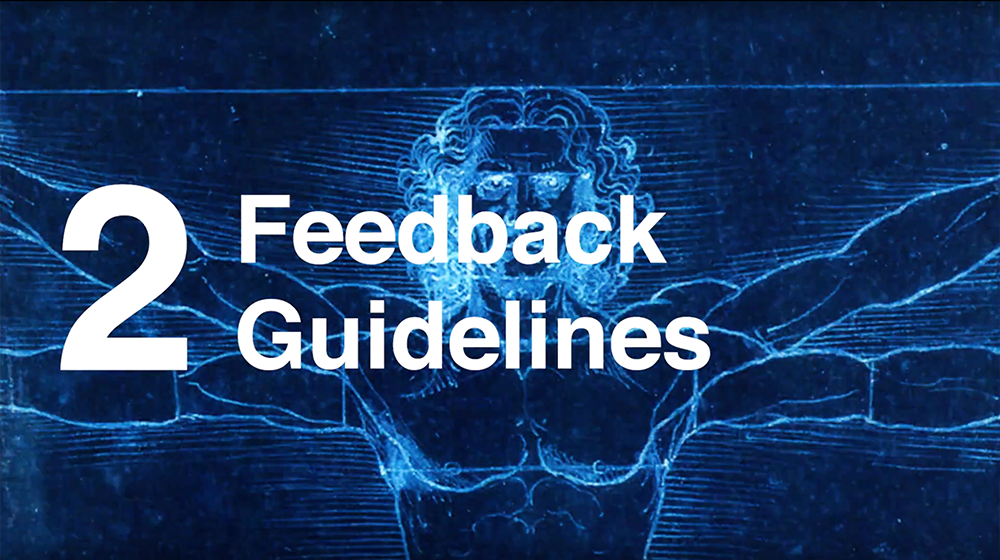2. Feedback Guidelines