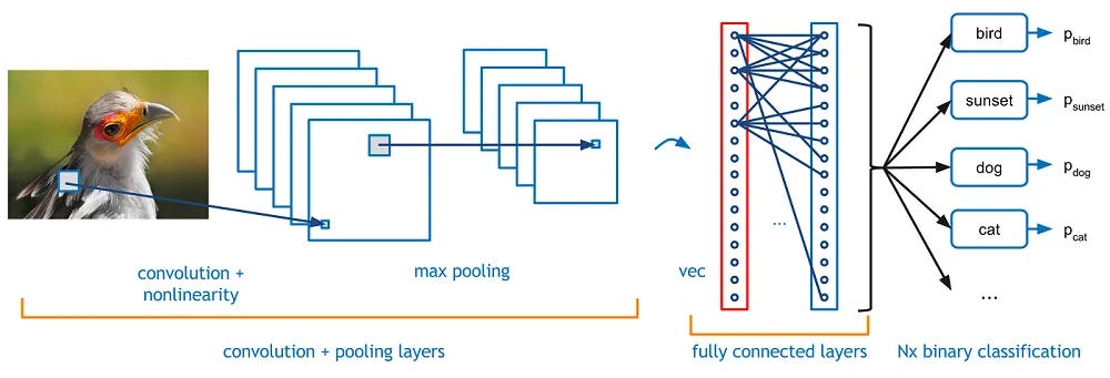 Convolutional Neural Network