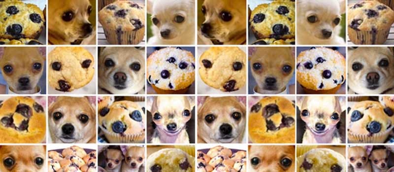 Image result for dog mop classifier