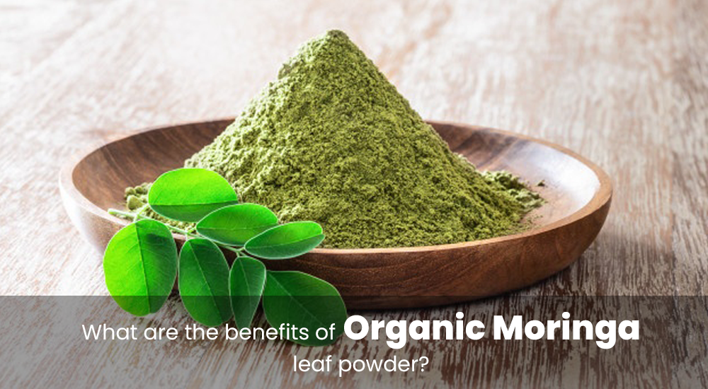 Organic Moringa leaf Powder