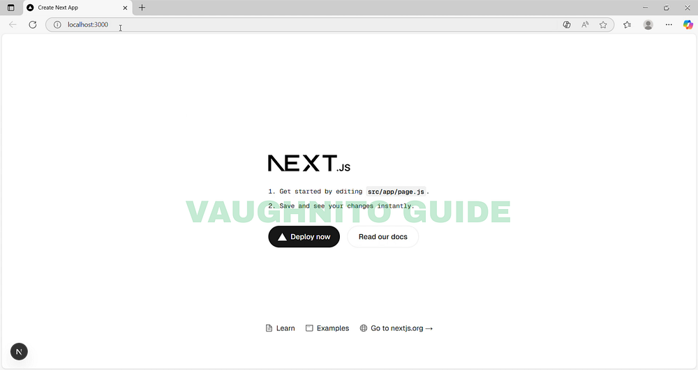 Nxt.js Project running on local host.