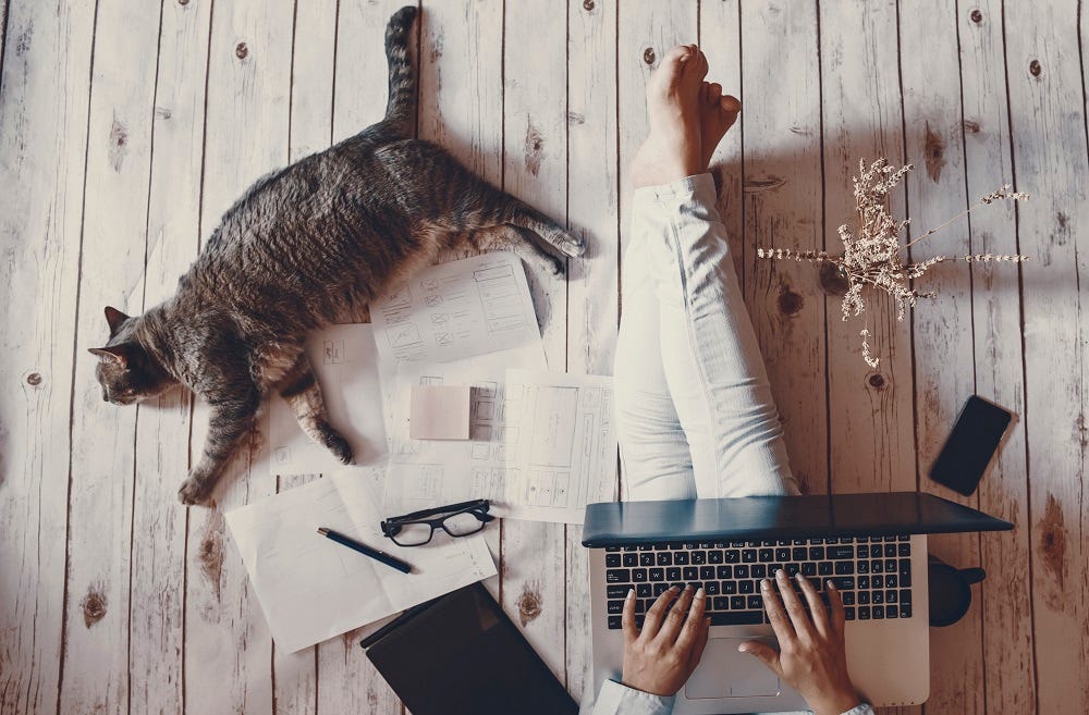 how to write a compelling cover letter