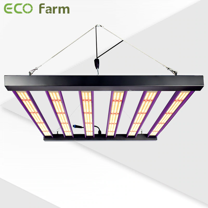 Best 480W LED Grow Lights for 4x4 Grow Tents in 2022 GrowPackage