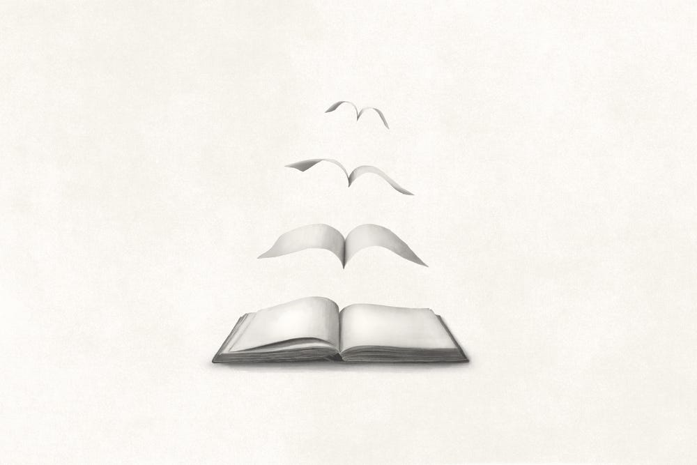 illustration of a book with pages becoming birds to represent the 10th chapter of Greg Lindberg’s new book
