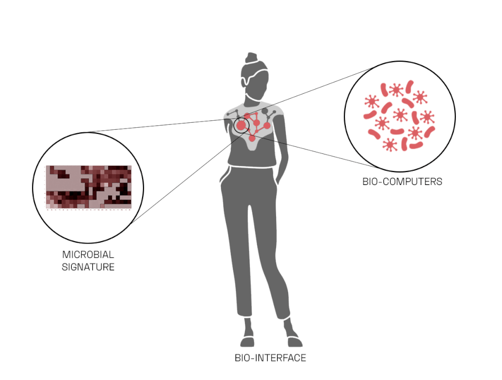 A diagram showing the wearable around a lady’s chest and pointing to microbes as bio-computers