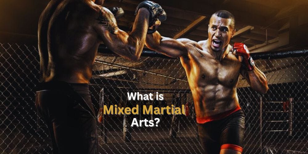 What is Mixed Martial Arts?