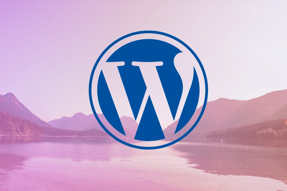 Decorative image of WordPress logo