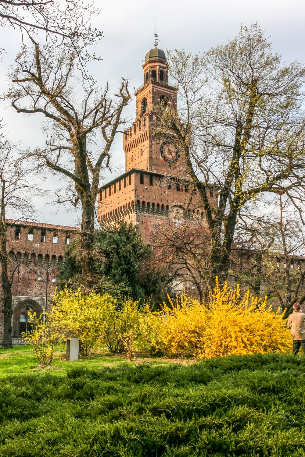 The main tower of Castello Sforzesco behind two leafless trees. A few yellow and yellow-orange shrubs in the foreground.