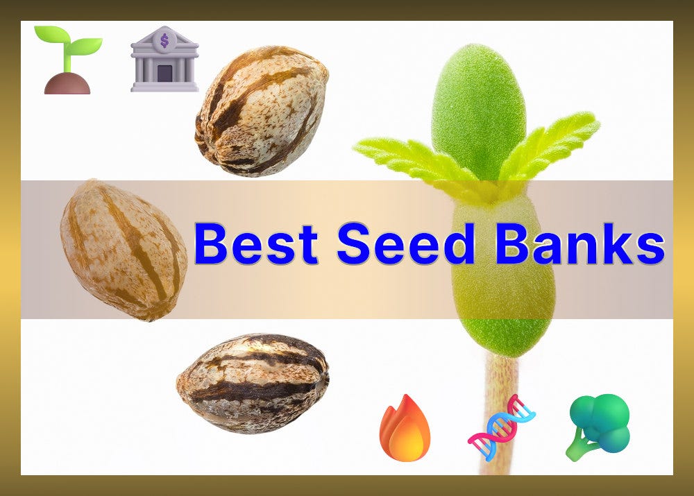 best seed banks cover image