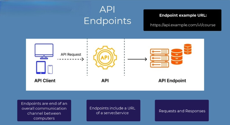 API Endpoints