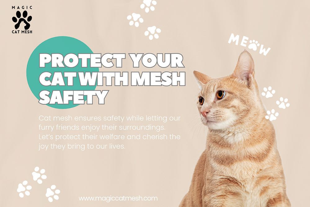 safety nets for cats safety nets for cats