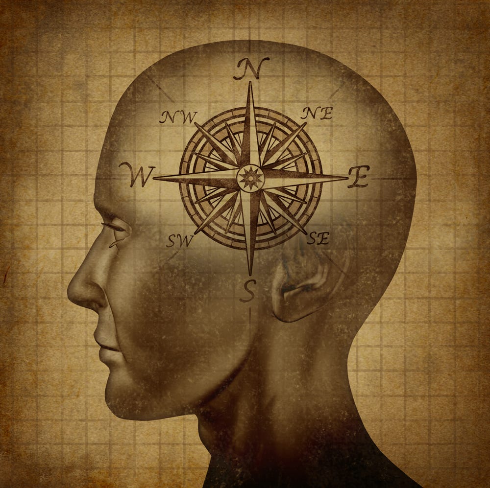 Head showing a compass in the brain to illustrate business owners life purpose for guidance.