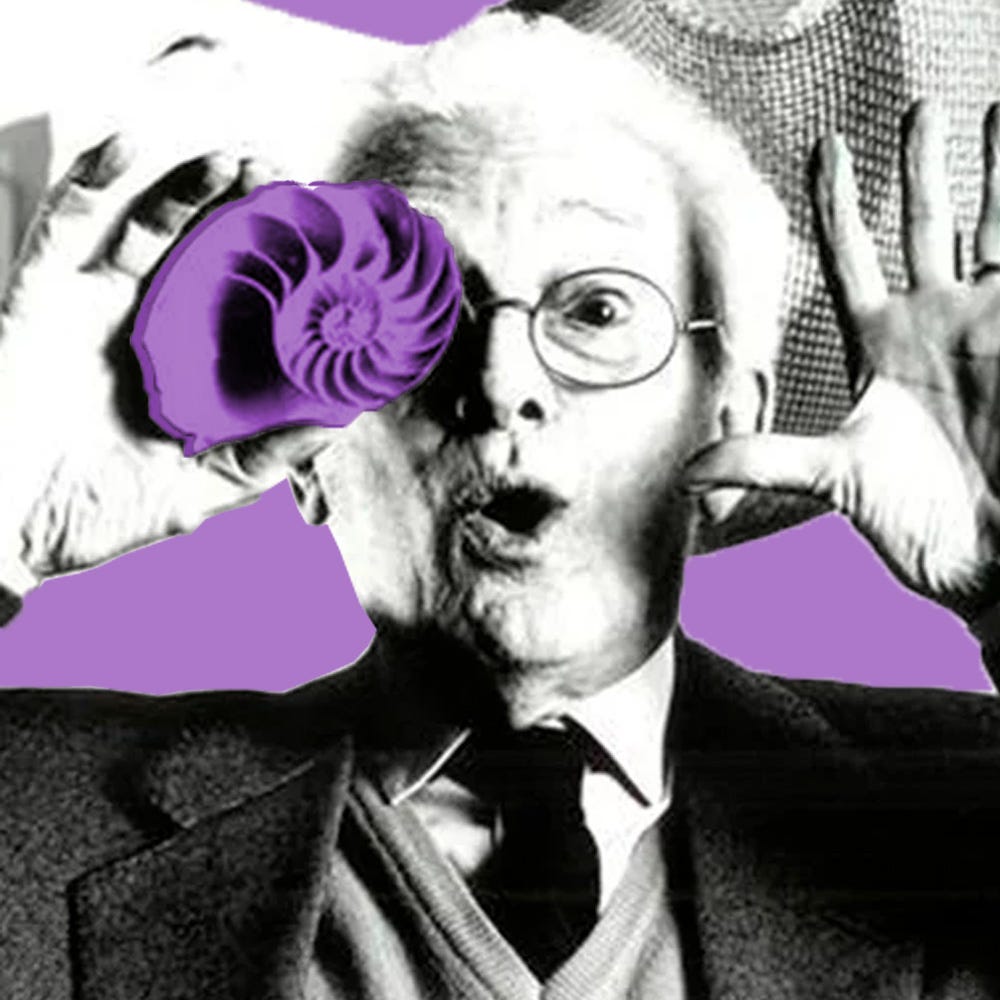 Back to basics: what did Bruno Munari leave for designers in “Design as art”?
