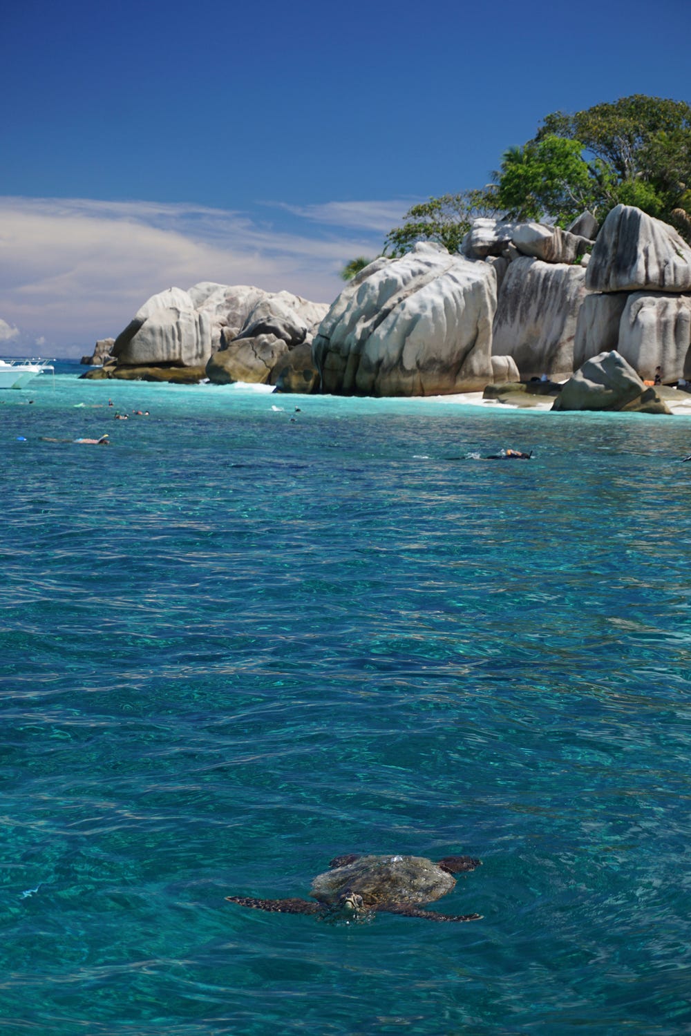 A turtle swims near the Seychelles’ Ile Cocos Marine National Park. © April Orcutt