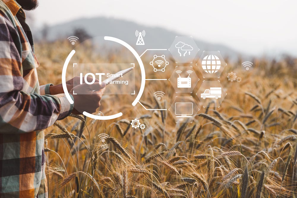 Use of IoT Sensors in Farming: How Smart Agriculture Is Transforming Modern Farming