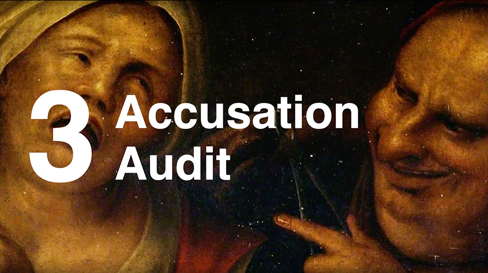 3. Accusation Audit