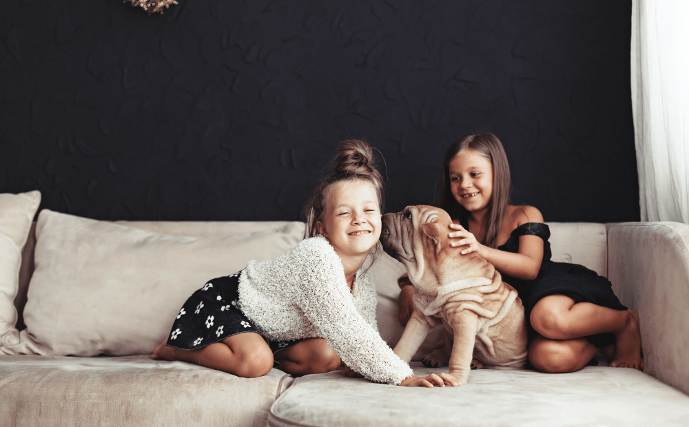 Two girls playing with a dog on a sofa.