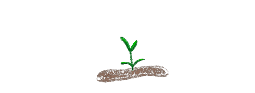 young plant growing from the dirt