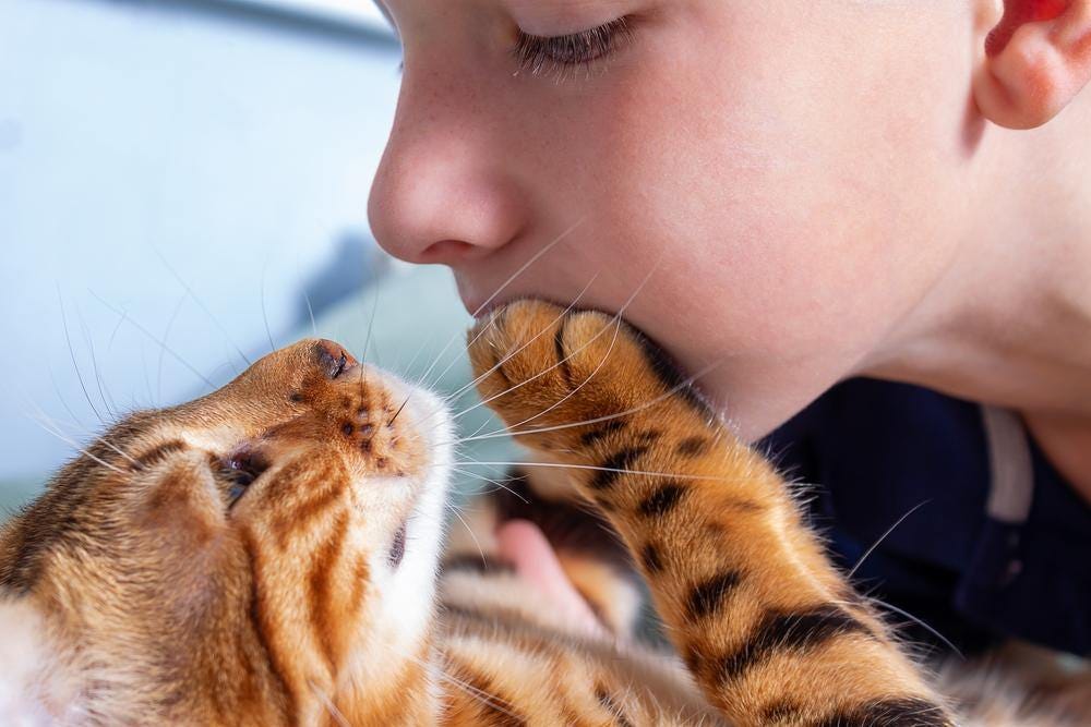 Orange tabby cat putting its paw over a young white boy’s mouth as if to say, “don’t speak.”